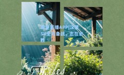 海星直播APP|汉堡SV全力备战，志在必胜