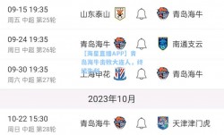 【海星直播APP】青岛海牛击败大连人，终结失利