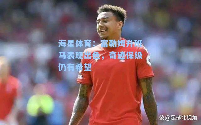 海星体育：富勒姆升班马表现出色，奇迹保级仍有希望  第1张